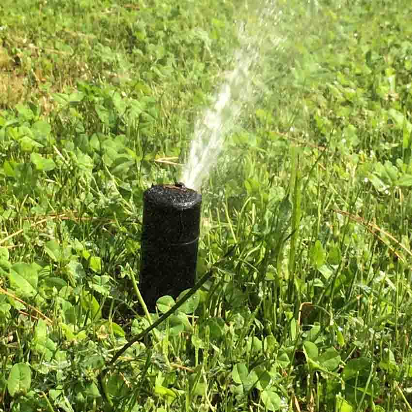 impianti irrigazione roma