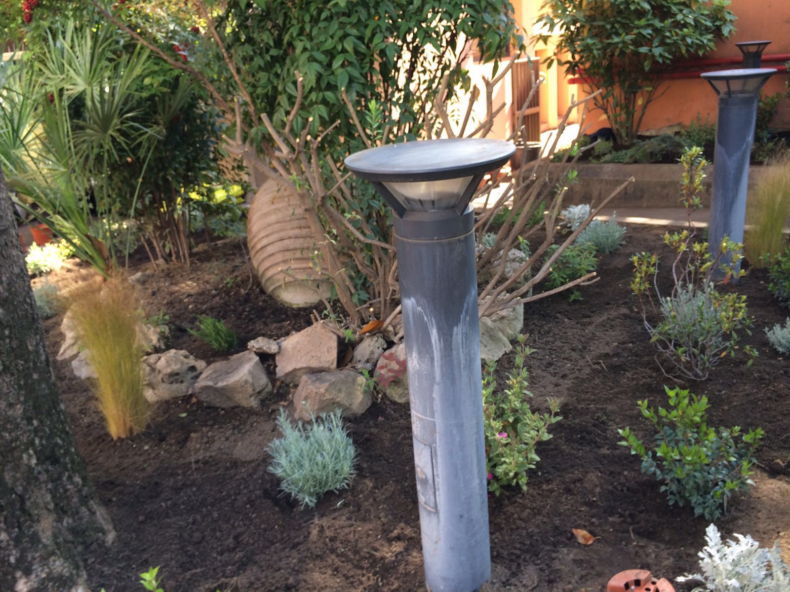 Giardiniere per fornitura essenze arboree