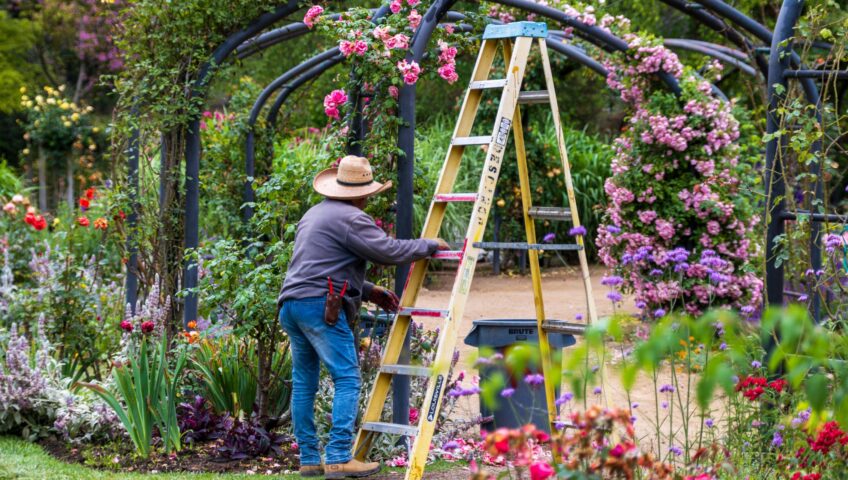servizi di giardinaggio