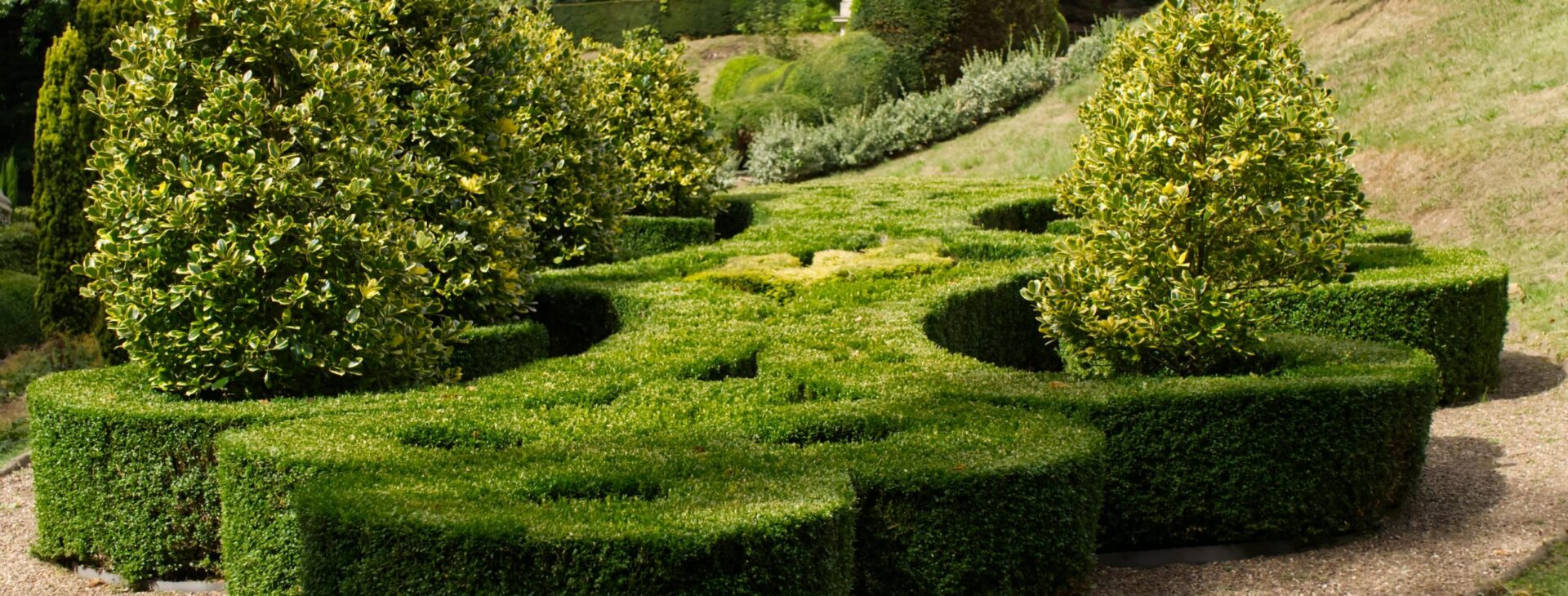 Azienda di giardinaggio