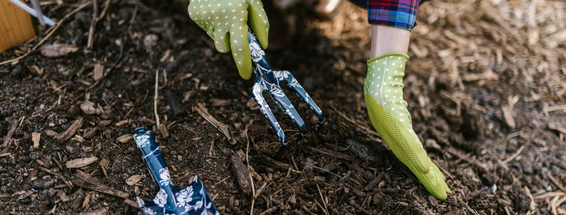 servizi di giardinaggio