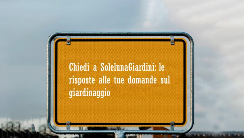 Domande sul giardinaggio