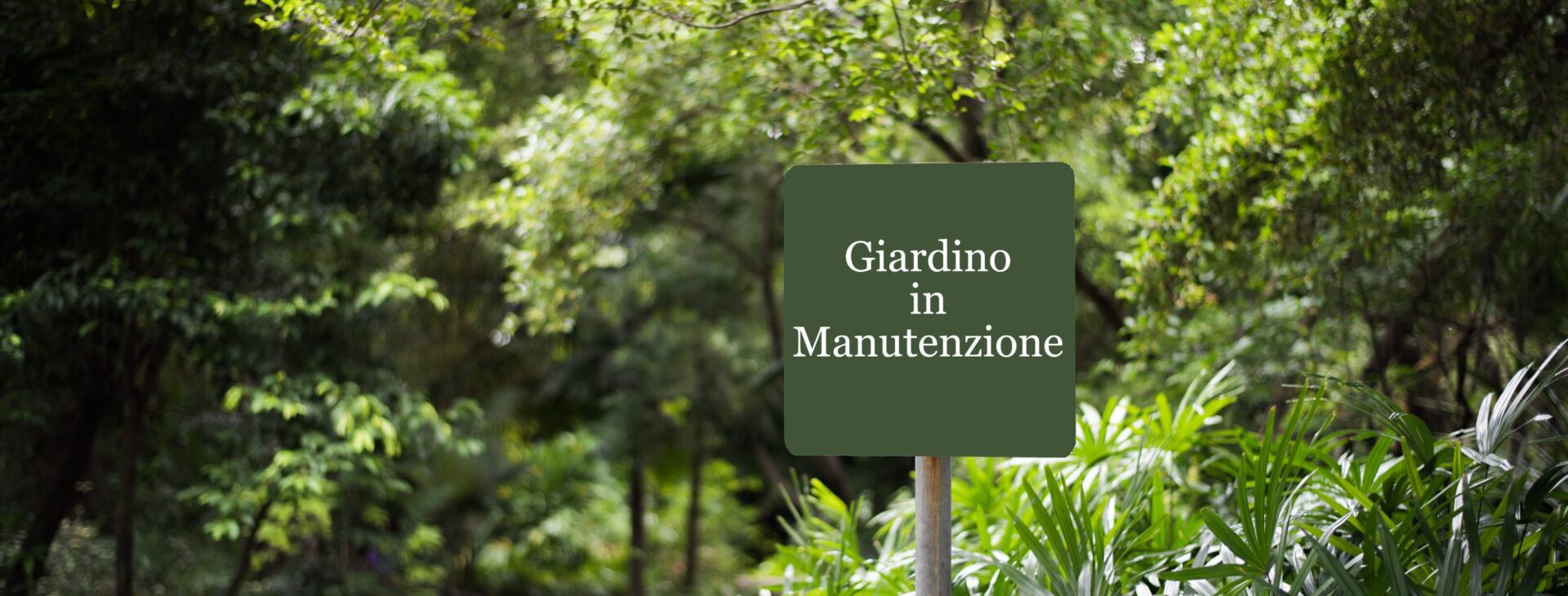 Manutenzione giardini condominiali Roma